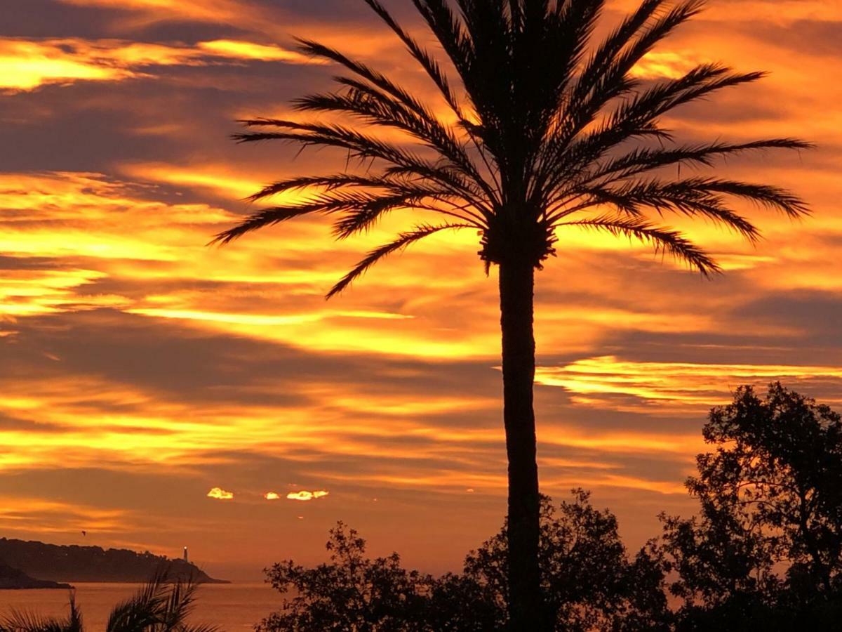 Le Carre D'Or Lägenhet Nice Exteriör bild