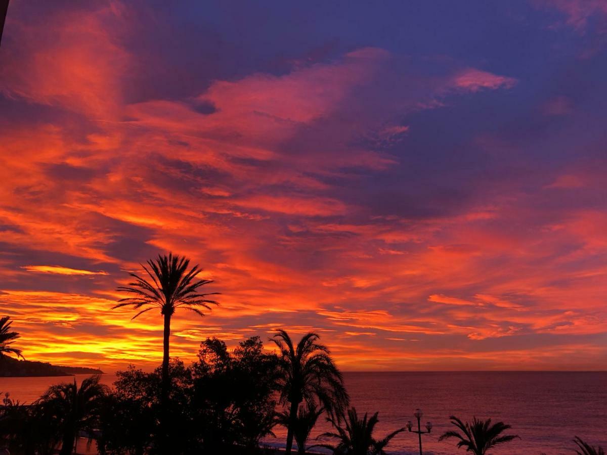 Le Carre D'Or Lägenhet Nice Exteriör bild